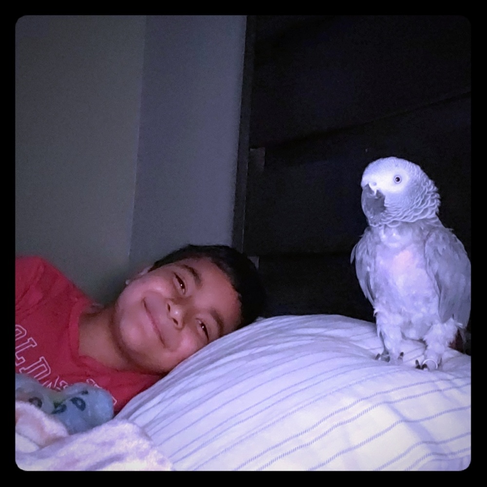My son & My Dragónsaurio 🦜
